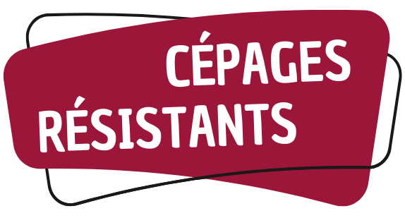 Cépages résistants